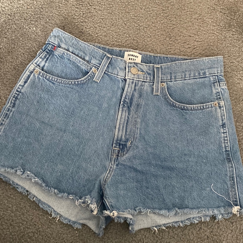 Aritzia Sunday Best Shorts